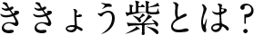 ききょう紫とは？